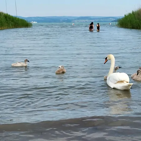 Sunny Villa Szántód
