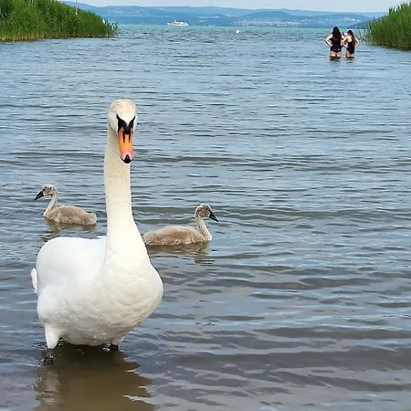 Sunny Βίλα Szántód