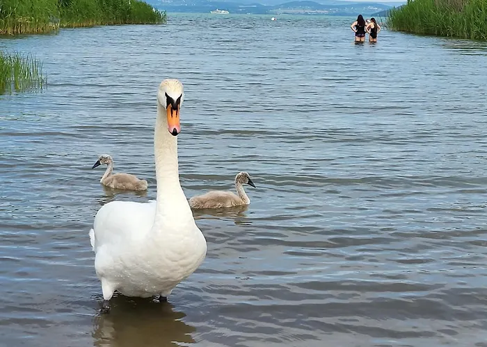 Sunny ヴィラ Szántód